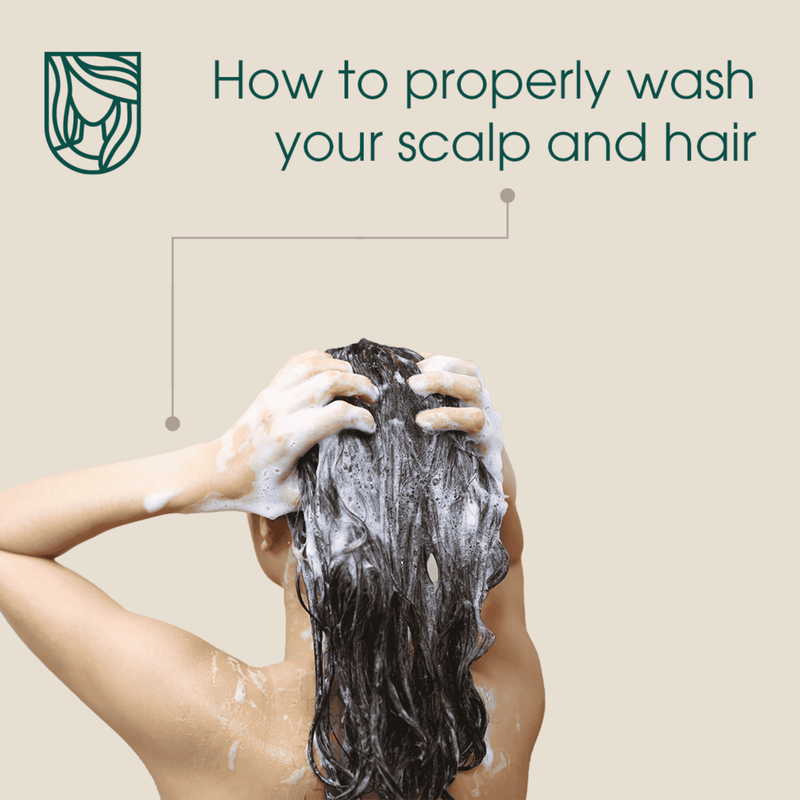 How to Properly Wash Your Scalp and Hair for Healthier Growth - My Hair Science